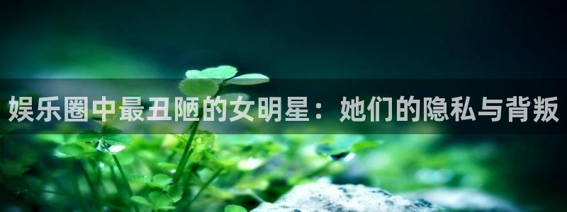 今年会app：娱乐圈中最丑陋的女明星：她们的隐私与背叛