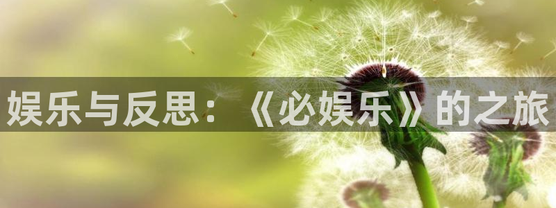 今年会官网登录入口：娱乐与反思：《必娱乐》的之旅