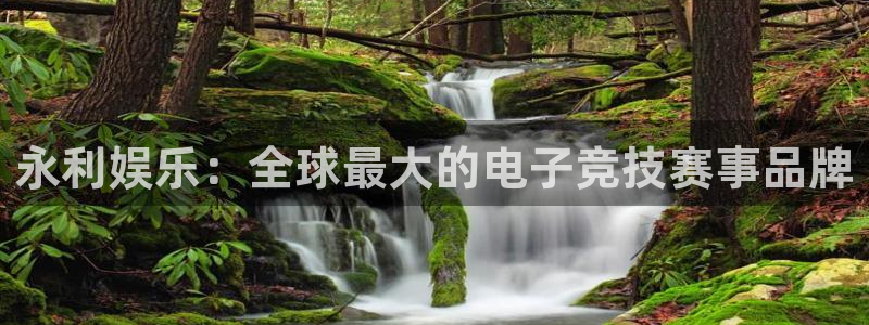 今年会首页：永利娱乐：全球最大的电子竞技赛事品牌