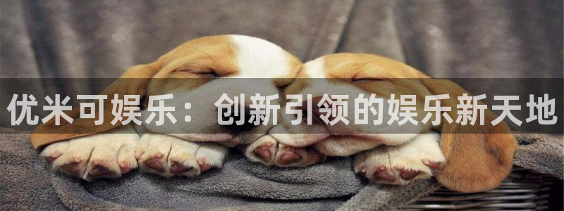 今年会首页：优米可娱乐：创新引领的娱乐新天地