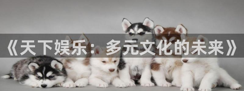 今年会首页：《天下娱乐：多元文化的未来》